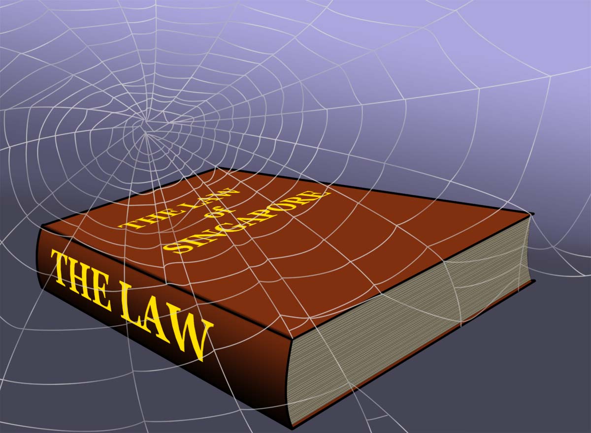 cobwebbed_law_book